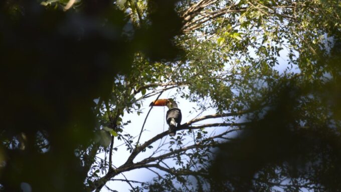 Yungas: Full Day With Gauchos - Activity Restrictions