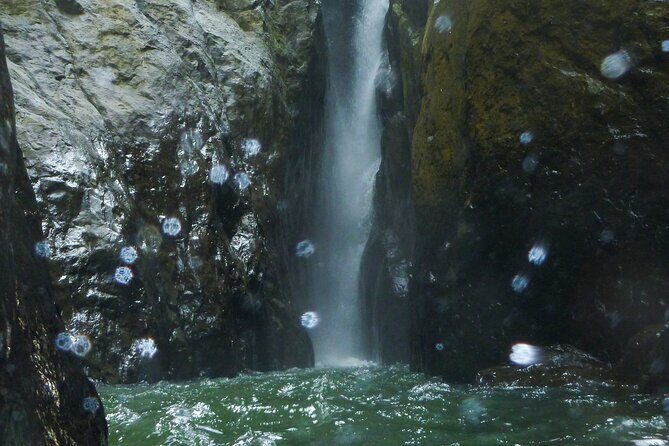 Yunque & Piñones Tour Hike Eat & Adventure with a Local; San Juan - Final Thoughts