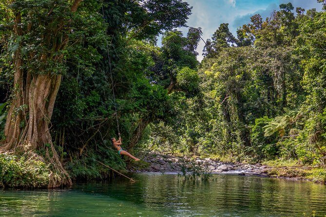 Yunque Rainforest River Rope Swing with Waterslide and Beach Tour - An In-Depth Look at the Tour Experience