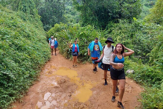 Yunque Rainforest Tour in Puerto Rico - FAQs