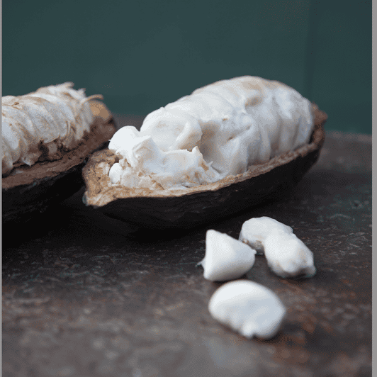 Zaandijk: Chocolate Making Demonstration & Tasting - Good To Know