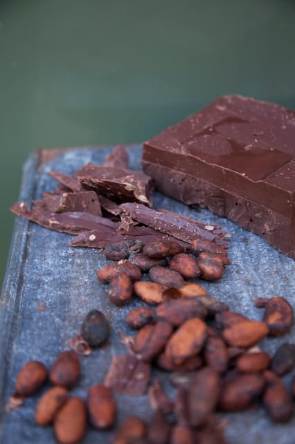 Zaandijk: Chocolate Making Demonstration & Tasting - Participant Guidelines