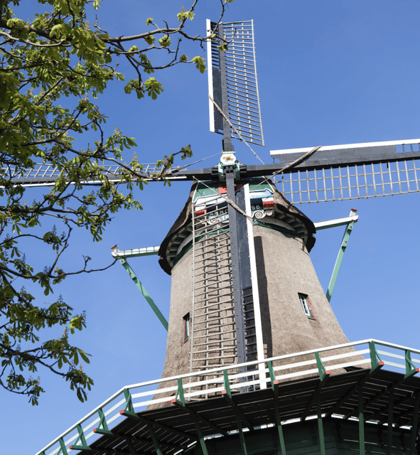 Zaandijk: Chocolate Walkabout Tour & Chocolate Tasting - Tour Experience