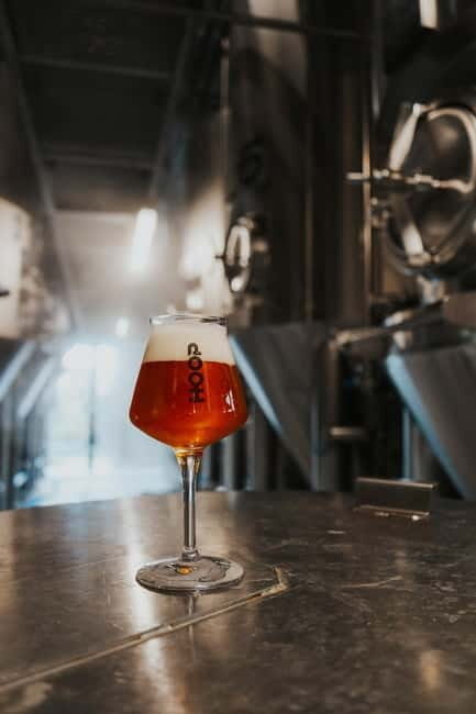 Zaanse Schans: Brewery HOOP Tour and Tasting - Introduction: A Taste of Dutch Brewing Heritage