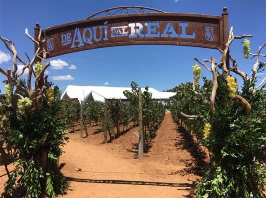 Zacatecas: Campo Real Winery Tour - Transportation and Inclusions