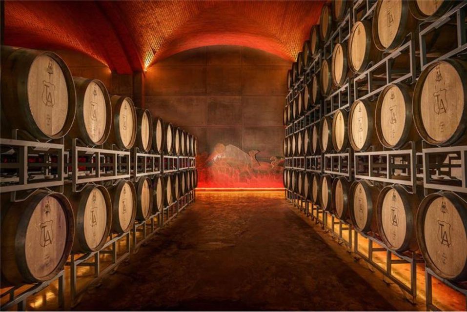 Zacatecas: Campo Real Winery Tour - Winery Exploration