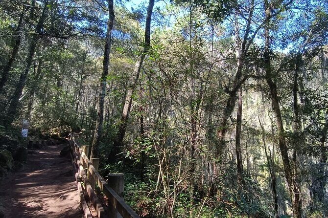 Zacatlán and Tulimán Falls Trekking Tour with Lunch - FAQ