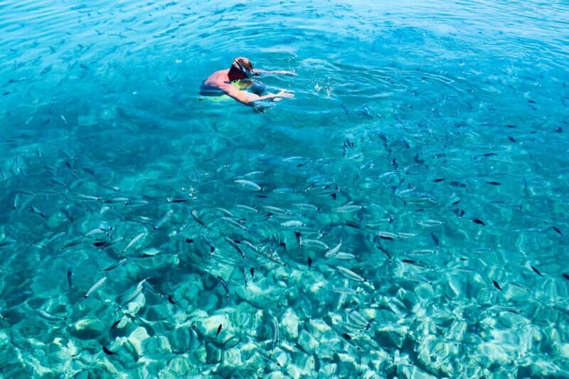 Zadar: 3-Islands Snorkeling, Beach, and Sightseeing Tour - Who Will Love This Tour?