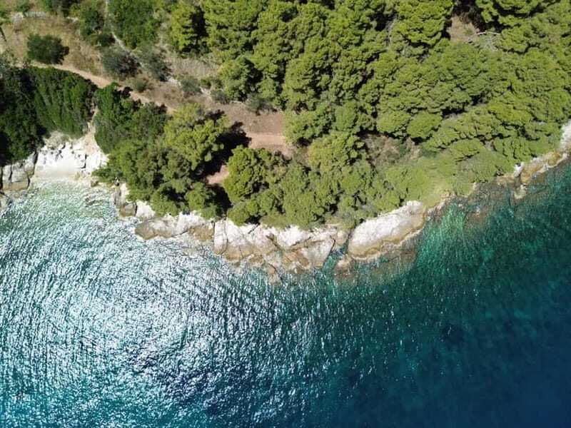 Zadar: 3 Islands Speedboat Tour with Drinks and Diving - Authentic Experiences and Guest Feedback
