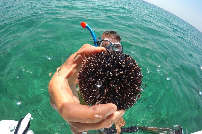 Zadar 3-Islands Tour: Snorkeling, Beach & Sightseeing - 4,5hr - Real Traveler Perspectives