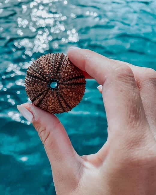 Zadar: Authentic Wooden Boat tour with drinks - Who Would Love This Tour?
