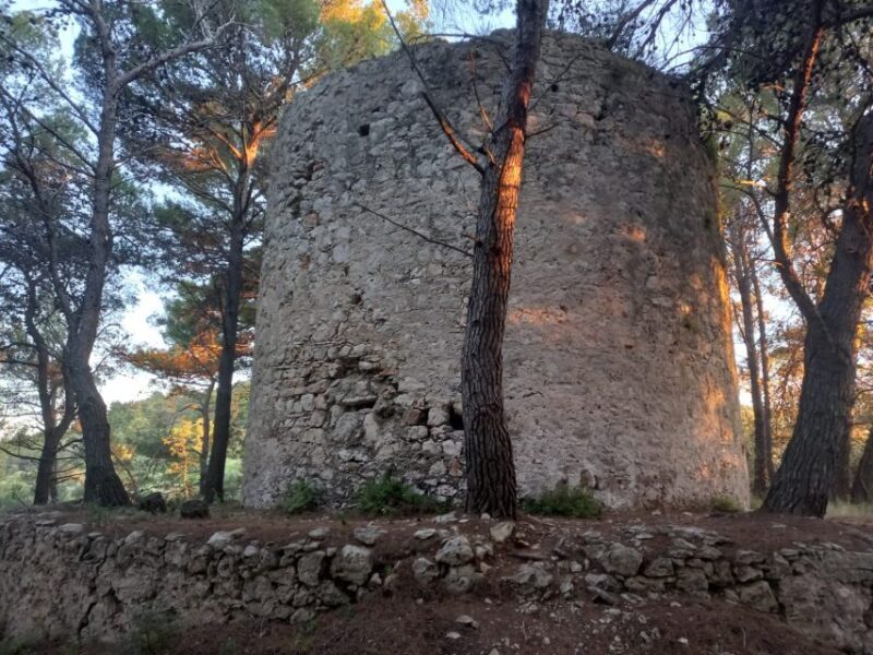 Zadar: Boat tour Half day -Private - FAQ