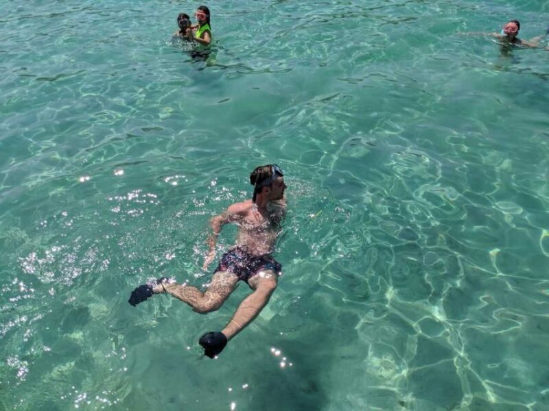 Zadar: Boat Tour to the Nearby Islands - Authentic Reviews: What Tourists Say