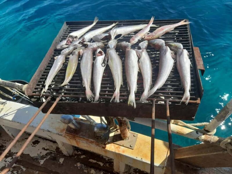 Zadar: Fishing Boat Trip with Lunch and Swimming Included - An In-Depth Look at the Zadar Fishing Boat Trip