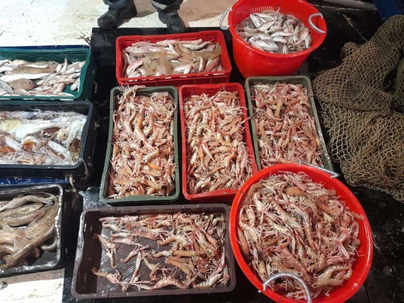 Zadar: Fishing Boat Trip with Lunch and Swimming Included - Frequently Asked Questions