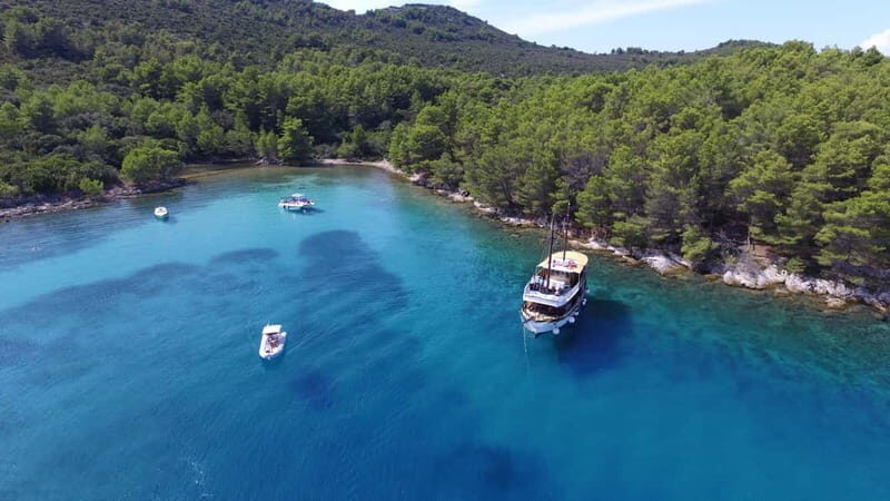 Zadar: Fun Swim and Snorkel Short Day Trip - An In-Depth Look at the Experience