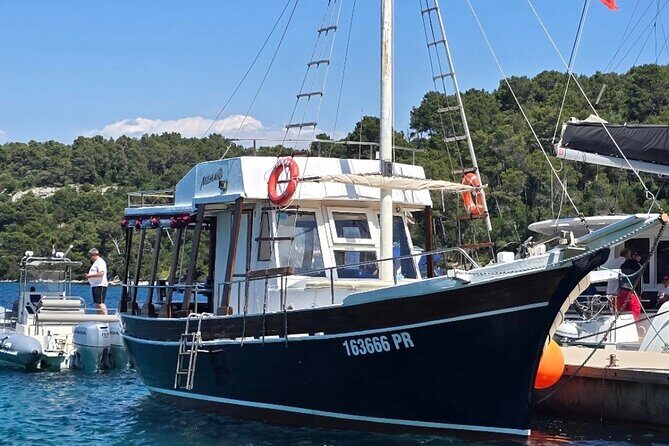 Zadar Half Day boat tour Wine on the Waves - Key Points