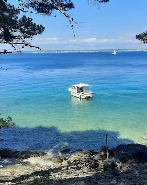 Zadar: Half-Day Island-Hopping and Lagoons Cruise with Fruit - Authentic Feedback from Travelers