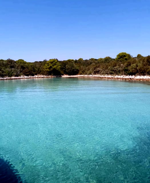 Zadar: Half-Day Island-Hopping and Lagoons Cruise with Fruit - Who Will Love This Tour?