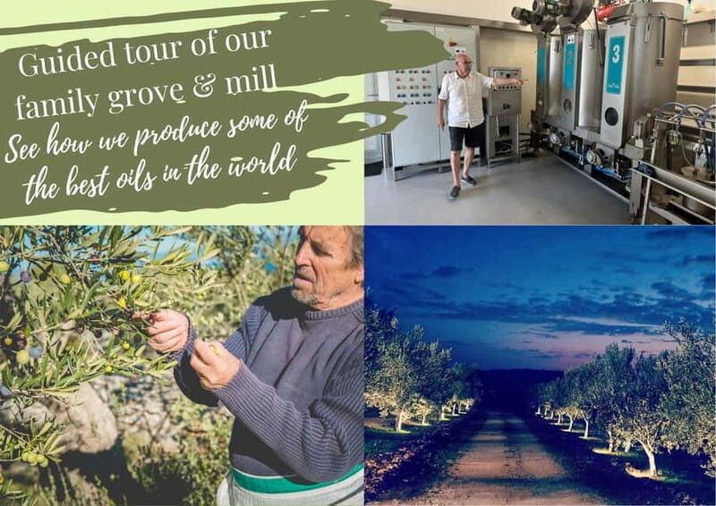 Zadar, ibenik: Olive Mill Tour, Tasting, Self Drive - FAQs