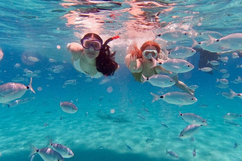 Zadar: Island-Hopping, Swimming & Snorkeling SpeedBoat Tour - Introduction and Overview