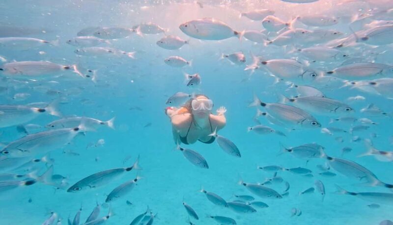 Zadar: Island Luxury Speedboat Tour with Snorkeling - Introduction: A Quick Look at the Experience