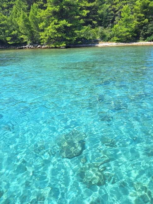 Zadar: Islands & Lagoons Tour with Drinks and ECO fruits... - An In-Depth Look at the Zadar Islands & Lagoons Tour
