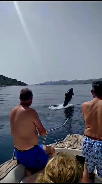 Zadar: Islands & Lagoons Tour with Drinks and ECO fruits... - Why This Tour Works for Different Types of Travelers  