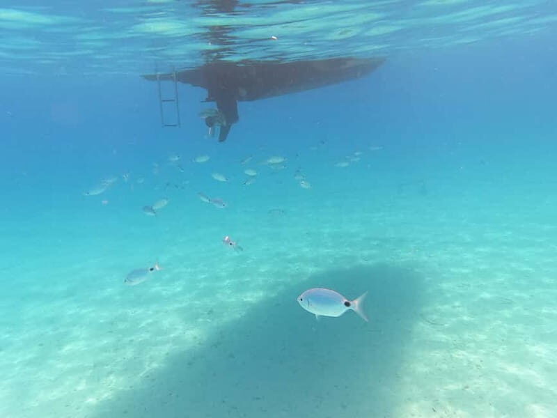 Zadar: Private SpeedBoat Tour to Islands - Drinks Included - Who Should Consider This Tour?  