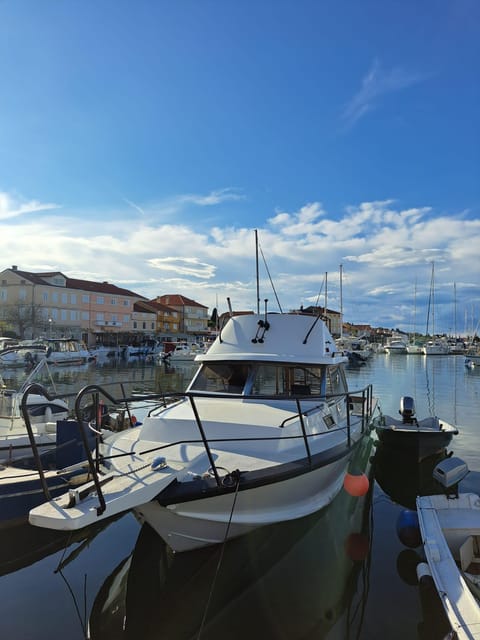 Zadar: Private Tour to Ugljan, Osljak and Galevac - Half Day - Important Considerations