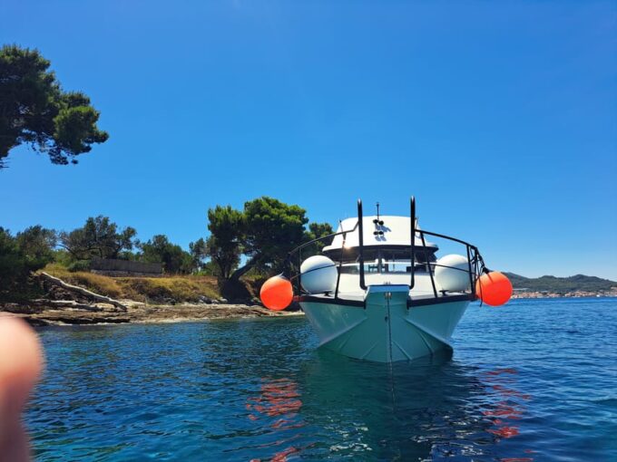 Zadar: Private Tour to Ugljan, Osljak and Galevac - Half Day - Customer Feedback