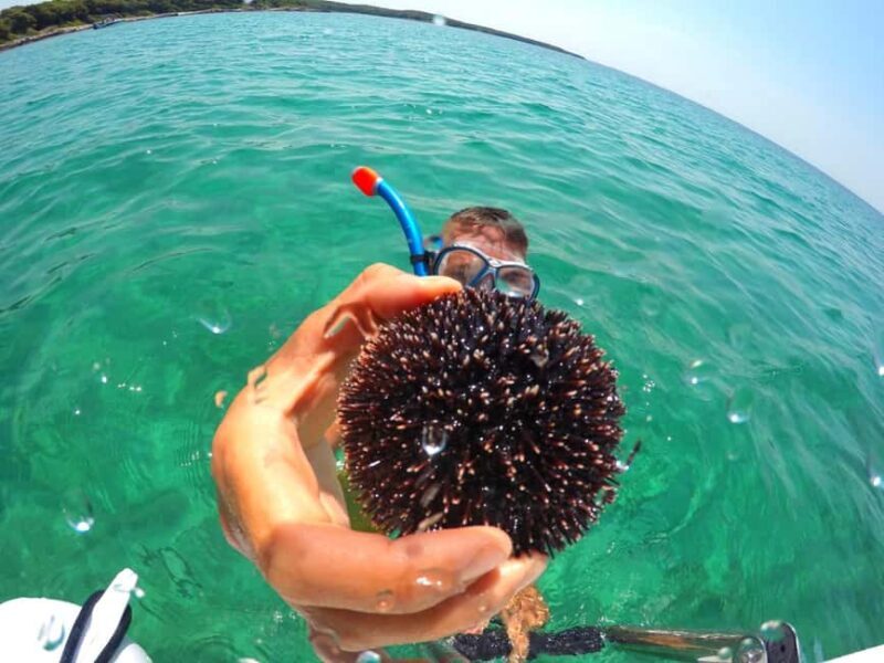 Zadar: Shipwreck Dive, Sandy Beach, Lighthouse & Island Tour - FAQ