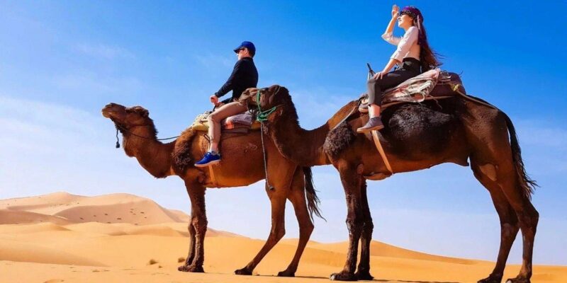 Zagora 2-Day Desert Safari and Luxury Camp - Overview of the Tour