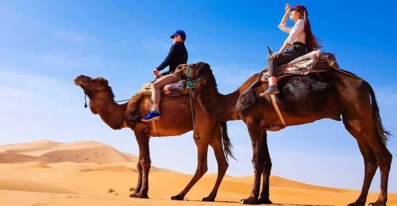 Zagora 2-Day Desert Safari and Luxury Camp - Highlights of Day 2