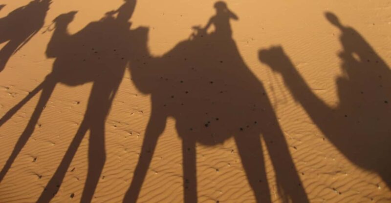 Zagora 2 Days Sahara Desert Tour With Dinner and Desert Camp - Itinerary - Day 2