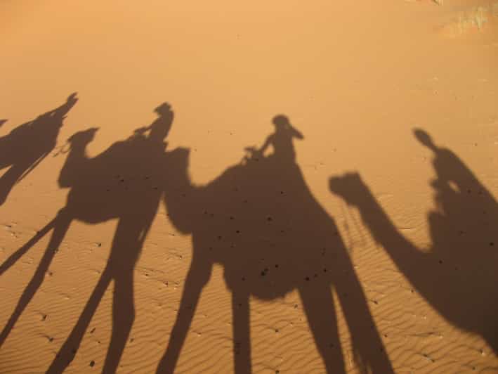 Zagora 2 Days Sahara Desert Tour With Dinner and Desert Camp - Inclusions