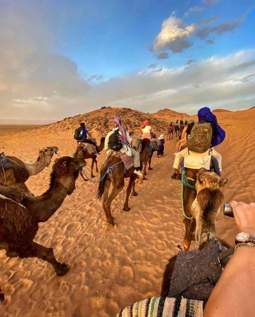 Zagora Desert: 2-Day 1 Night Desert Expedition to Remember - Camel Ride and Berber Camp