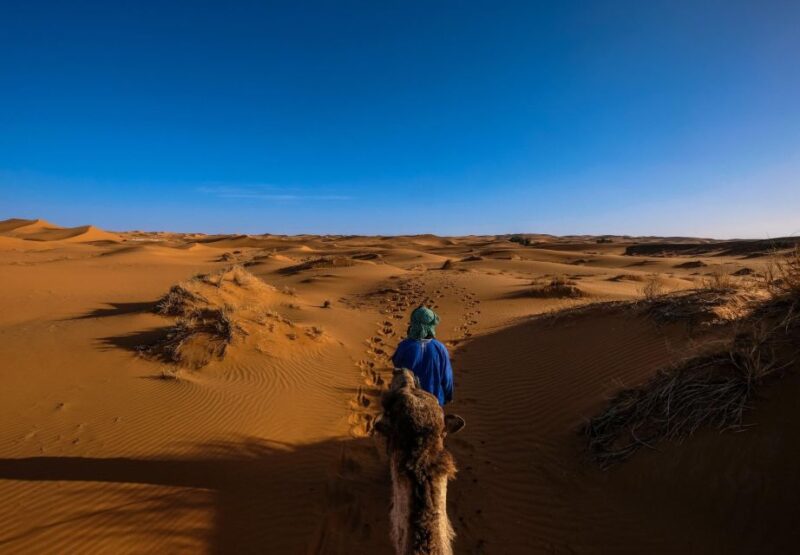 Zagora Desert Adventure - Itinerary Highlights