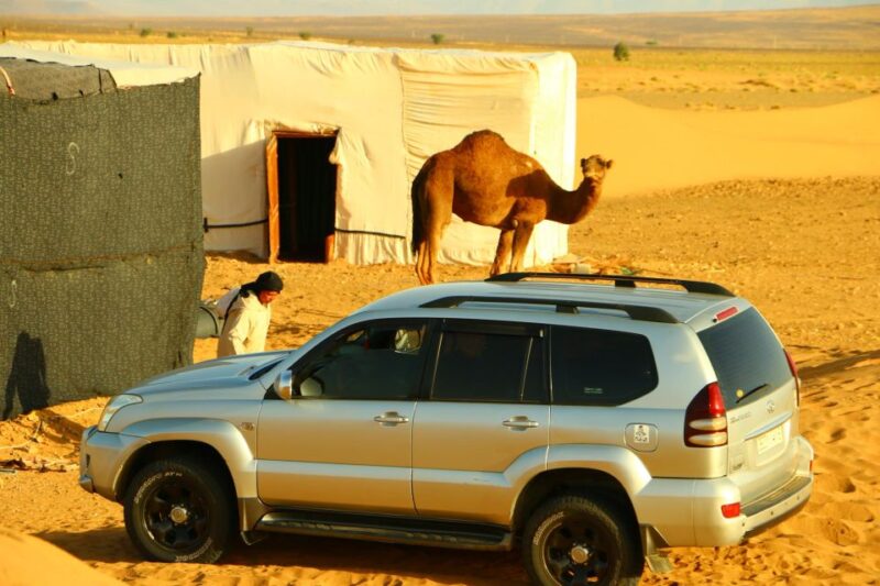 Zagora: Overnight in Luxury Desert Camp With Camel Ride, - Itinerary and Experiences
