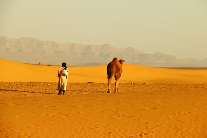 Zagora: Overnight in Luxury Desert Camp With Camel Ride, - Morning Experiences
