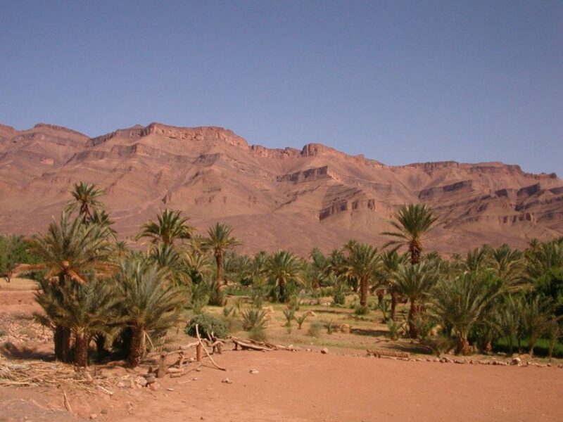 Zagora Sahara Desert Overnight Trip From Ouarzazate - Good To Know