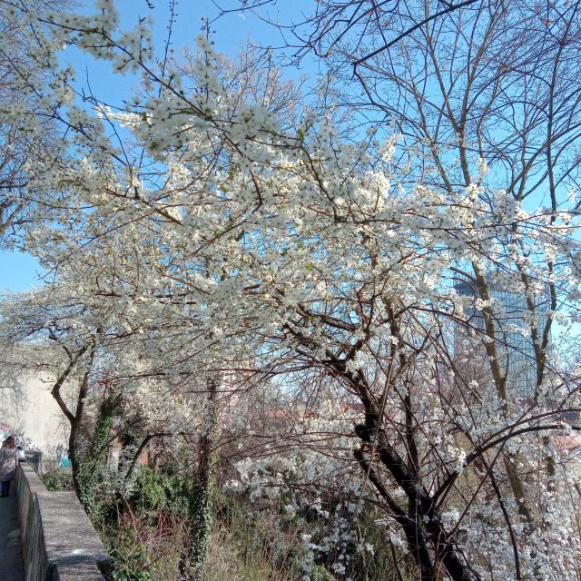 Zagreb: Historic Walking Tour with a Local Guide - Final Thoughts