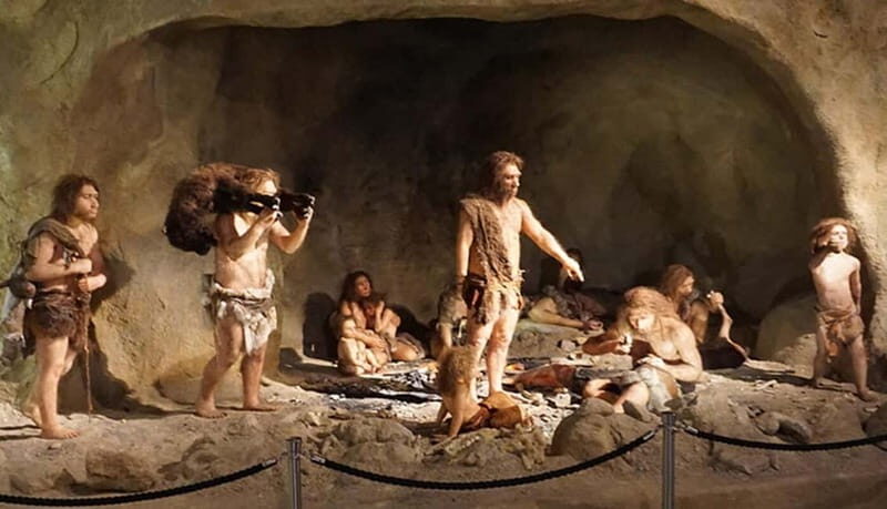 Zagreb: Krapina Neanderthal Museum & Trakoan Castle Tour - A Deep Look into the Tour Experience