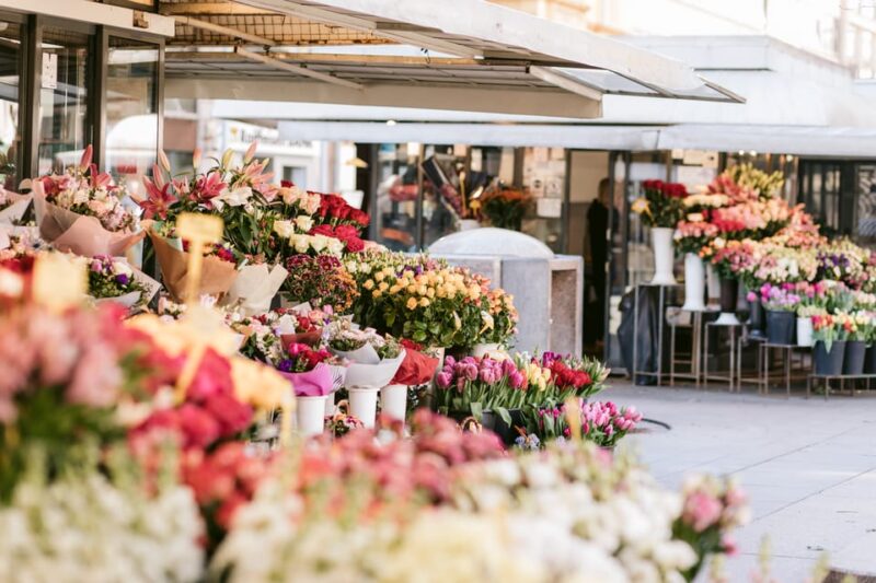 Zagreb: Most Instagrammable Photo Spots Guided Tour - Pricing and Booking