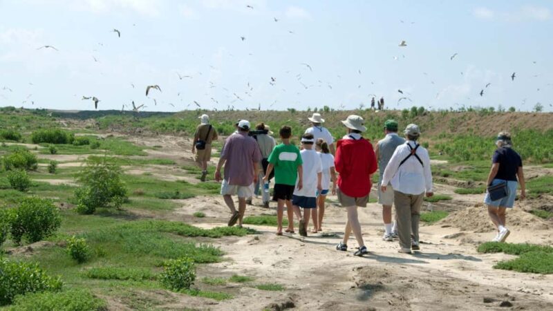 Zagreb: Science Tours, Zagreat Outdoors - A Closer Look at the Experience