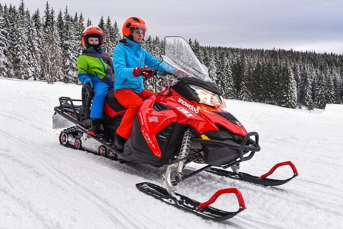Zakopane: 3 hours Snowmobiles Guided Tour with bonfire and meal - The Sum Up