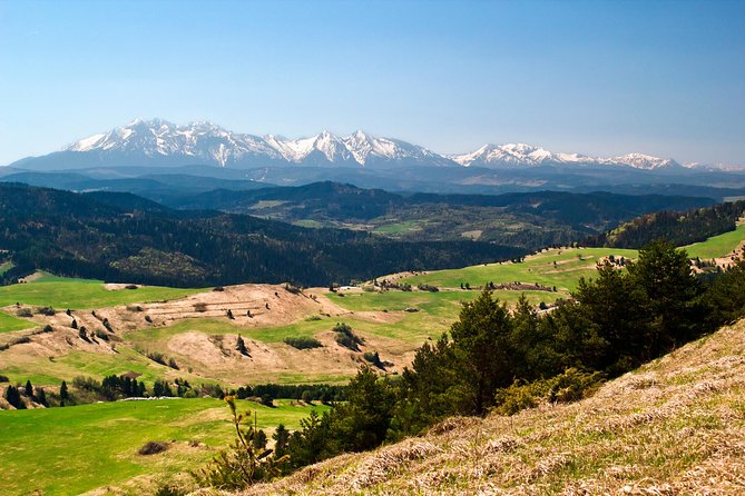 Zakopane and Tatras Mountains Day Tour From Krakow - Strolling Krupówki