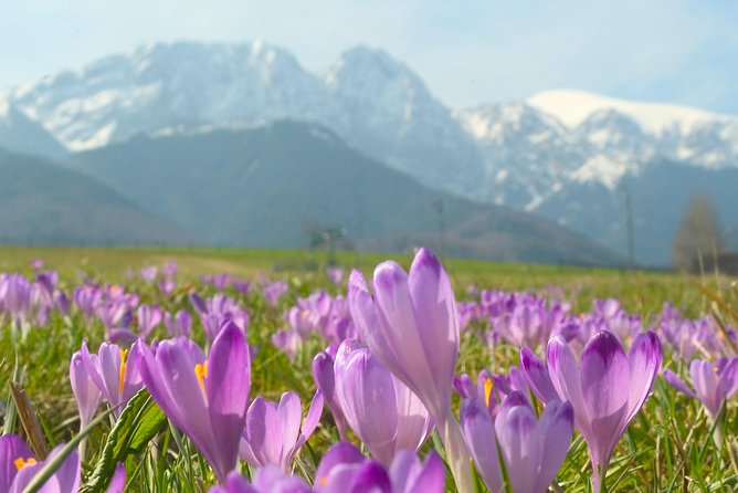 Zakopane and Tatras Mountains Day Tour From Krakow - Optional Old Village Visit