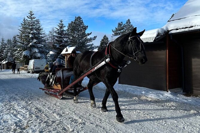 Zakopane Day Tour With Hotel Pick up and Optional Thermal Spa - Pricing and Savings