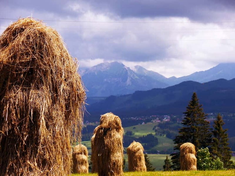 Zakopane Old Town Exclusive Walking Tour with Private Guide - Key Points  